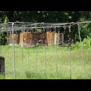 Die Kandidaten im Wettstreit